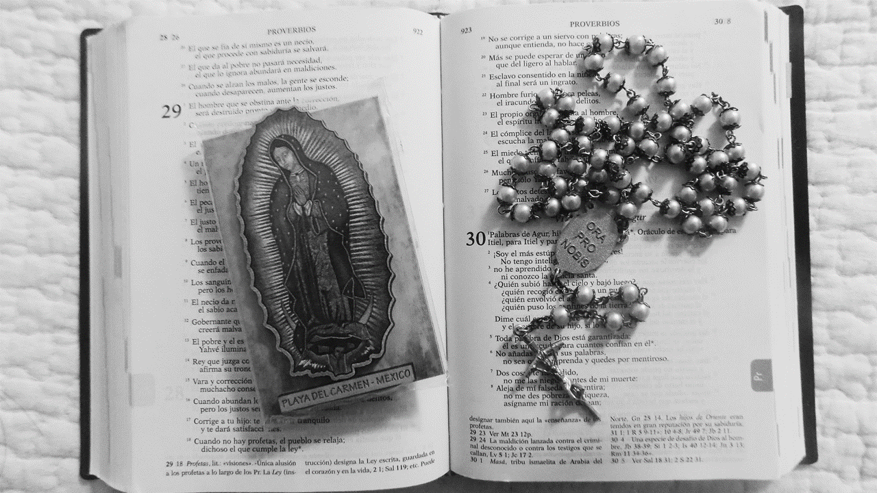 La Palabra encarnada en María. Imagen de la Virgen sobre una Biblia