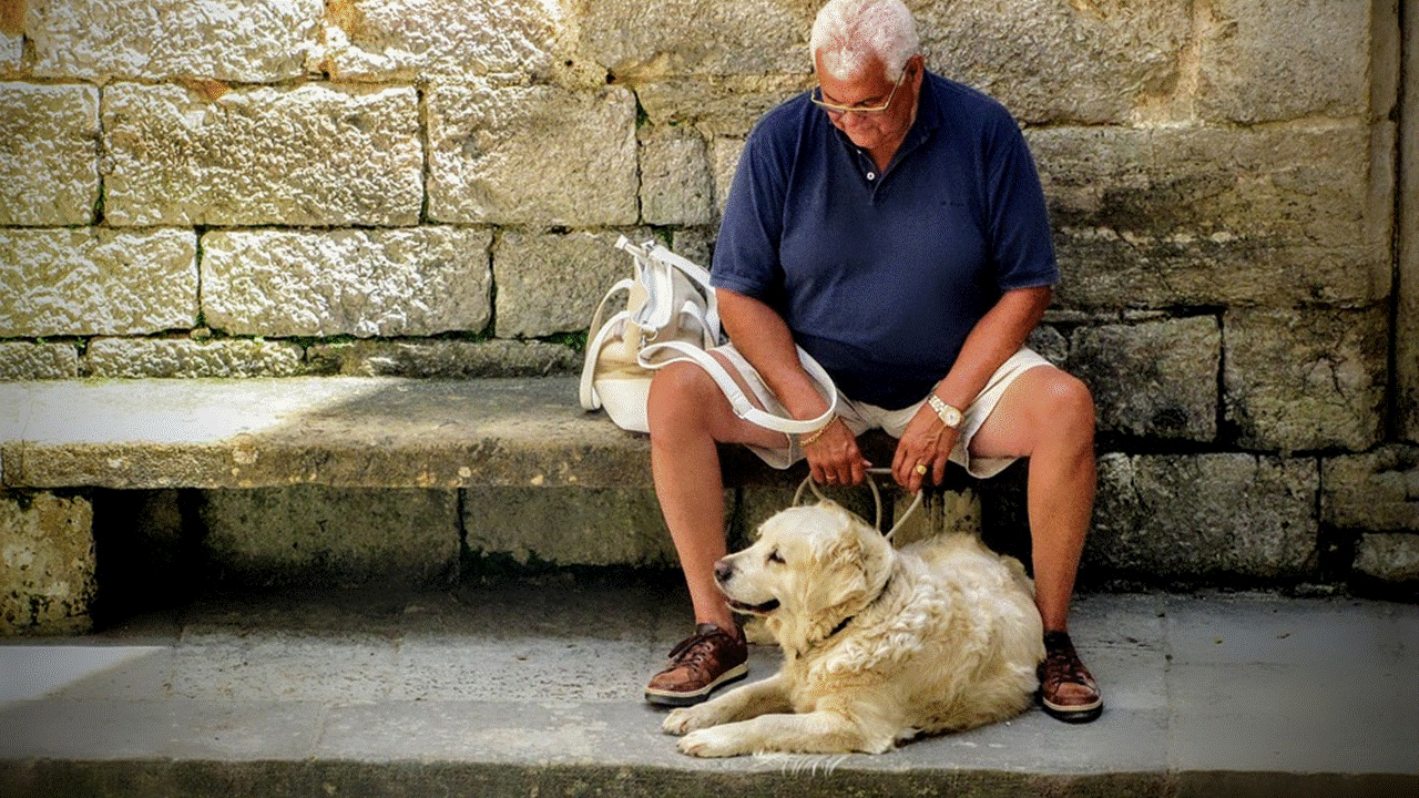 ¿Cuándo los abuelos se volvieron invisibles?