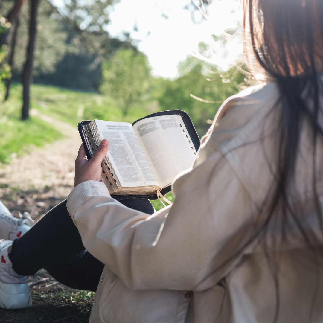 Mujer leyendo la Biblia en el parque. La Palabra de Dios nos enseña el Espíritu Santo